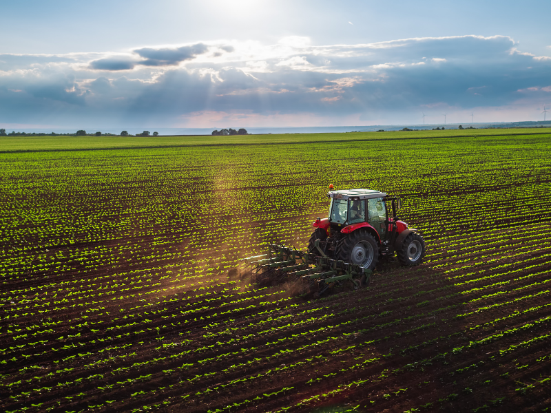 Tractor Tractor image
