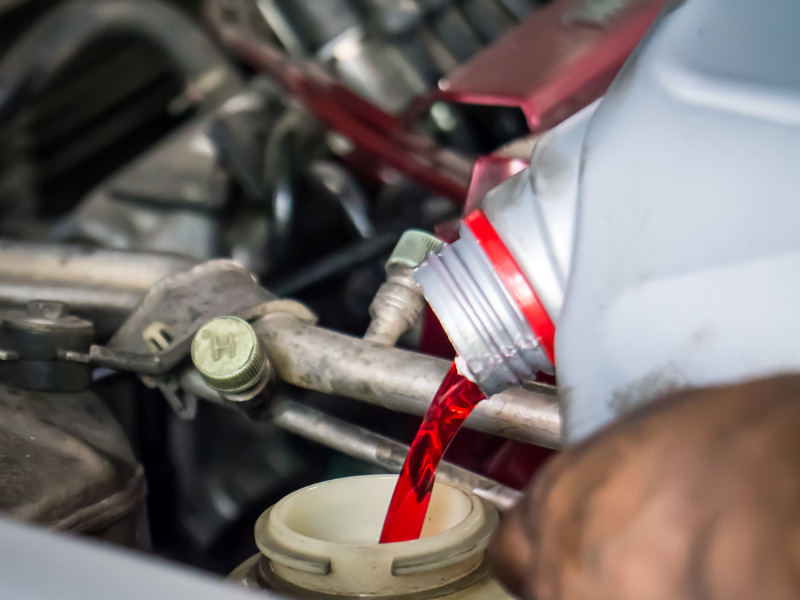 What does the ‘Differential Gear Oil’ protect?
