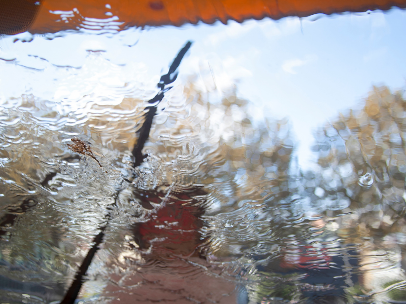 windscreen windscreen