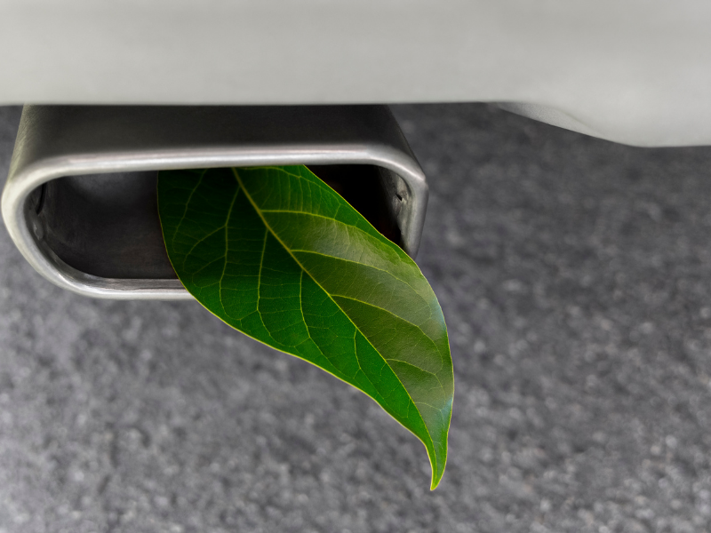 exhaust exhaust